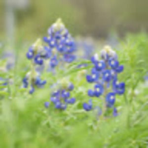 Meet your Posher, Shauna